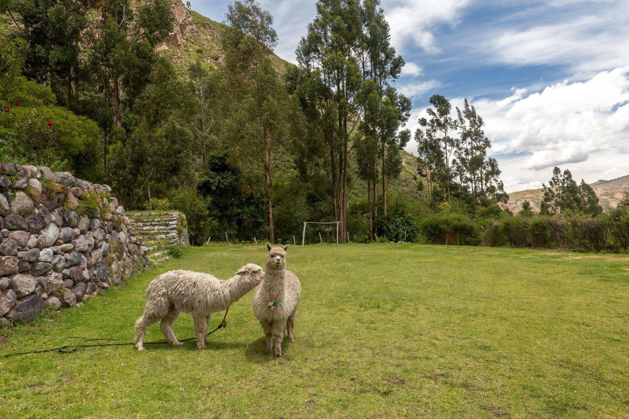 Hotel Hacienda Del Valle Urubamba Buitenkant foto